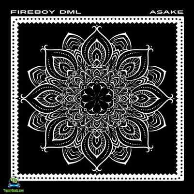 FireBoy DML 